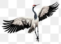 PNG Kung fu crane animal bird white background. AI generated Image by rawpixel.