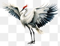 PNG Kung fu crane drawing animal white. AI generated Image by rawpixel.