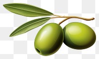 PNG Olive plant food leaf. AI generated Image by rawpixel.