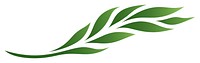 PNG Green leaf stroke outline plant logo symbol. 