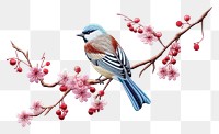 PNG Winter bird animal fragility freshness. AI generated Image by rawpixel.