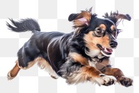 PNG  Dog paws mammal animal pet. AI generated Image by rawpixel.