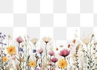 PNG Wildflower backgrounds outdoors pattern