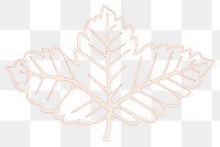 PNG Leaf leaf nature plant. AI generated Image by rawpixel.
