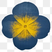 PNG Primrose flower yellow petal