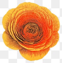 PNG Silkscreen of a ranunculus flower petal plant. AI generated Image by rawpixel.