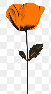 PNG Silkscreen of a california poppy flower petal plant red. AI generated Image by rawpixel.