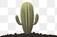 PNG Cactus plant outdoors nature. AI generated Image by rawpixel.