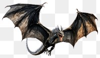 PNG Black dragon wildlife animal wing. AI generated Image by rawpixel.