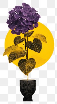 PNG Hydrangea flower in abstact vase yellow purple plant. AI generated Image by rawpixel.