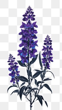PNG Larkspur lavender flower purple. AI generated Image by rawpixel.