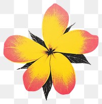 PNG Plumeria flower graphics yellow petal. 