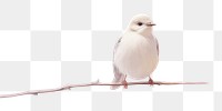 PNG White bird animal beak pink. AI generated Image by rawpixel.