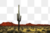 PNG Impression desert landscape with saguaro cactus outdoors nature sky. 