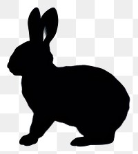 PNG Sillouette rabbit silhouette animal rodent. AI generated Image by rawpixel.