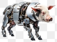 PNG Cyborg pig animal mammal white background. AI generated Image by rawpixel.