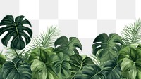 PNG Monstera plants backgrounds outdoors nature. AI generated Image by rawpixel.