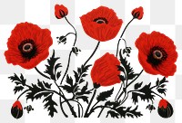 PNG Poppy love flower nature plant. AI generated Image by rawpixel.