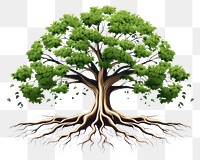 PNG Tree with roots plant green white background. AI generated Image by rawpixel.