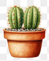PNG Small cactus in the pot plant white background houseplant. AI generated Image by rawpixel.