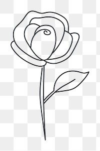 PNG Minimal illustration of rose drawing sketch flower. AI generated Image by rawpixel.