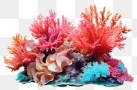 PNG Underwater aquarium nature fish. AI generated Image by rawpixel.