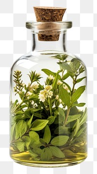 PNG Medical herbs medicine bottle. AI generated Image by rawpixel.