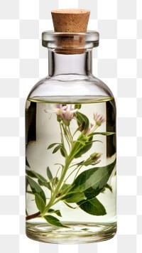 PNG Medical bottle herbs medicine