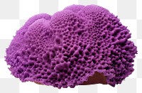 PNG Underwater nature purple sponge. 