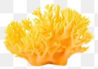 PNG Underwater yellow food sea. AI generated Image by rawpixel.
