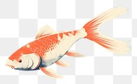 PNG Japanese vintage koi fish animal carp underwater. 