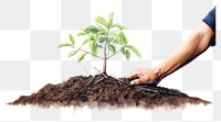 PNG Hands planting trees gardening outdoors nature. AI generated Image by rawpixel.