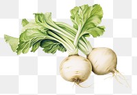 PNG Turnip vegetable plant food. AI generated Image by rawpixel.