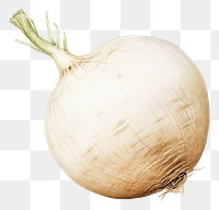 PNG Turnip vegetable onion plant. AI generated Image by rawpixel.