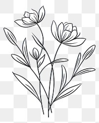 PNG Floral plant pattern drawing. 