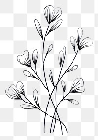 PNG Floral plant pattern drawing