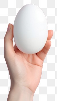 PNG Egg holding hand simplicity. AI generated Image by rawpixel.