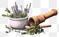 PNG  Herbs mortar and pestle lavender flower plant. AI generated Image by rawpixel.