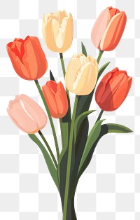 PNG Tulip bouquet flower plant inflorescence. AI generated Image by rawpixel.