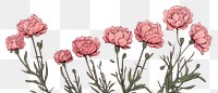 PNG Peony flowers sketch plant rose. AI generated Image by rawpixel.