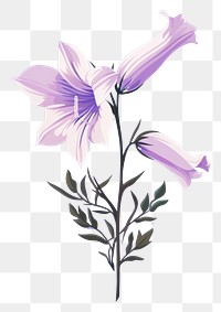 PNG Bellflower petal plant inflorescence. AI generated Image by rawpixel.