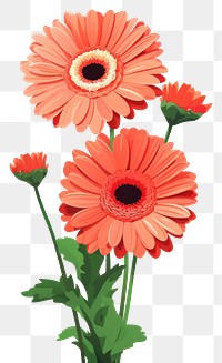 PNG Gerbera bouquet flower petal plant. AI generated Image by rawpixel.
