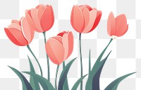 PNG Tulip flowers plant inflorescence springtime. AI generated Image by rawpixel.