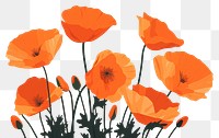 PNG California poppy flower petal plant. AI generated Image by rawpixel.