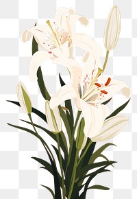 PNG Lily bouquet flower plant inflorescence. AI generated Image by rawpixel.