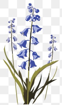 PNG Bluebells flower plant petal. AI generated Image by rawpixel.