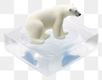 PNG Polar bear on ice cube wildlife animal mammal. AI generated Image by rawpixel.