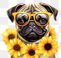 PNG  Pug with sunflower glasses animal mammal pet. AI generated Image by rawpixel.