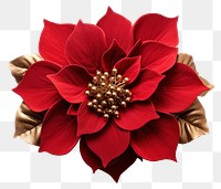 PNG Flower christmas dahlia brooch. AI generated Image by rawpixel.