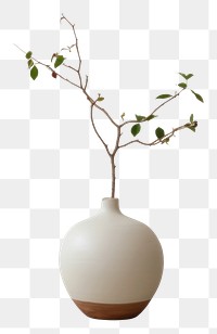 PNG Ceramic pot plant flower vase wall. AI generated Image by rawpixel.